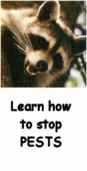 Learn how to stop PESTS
