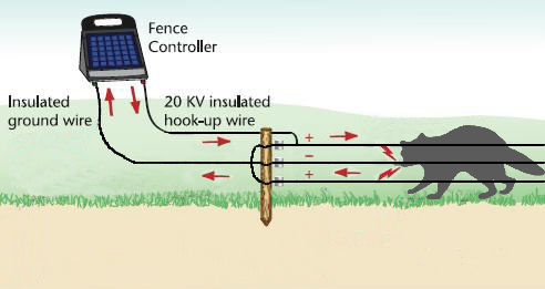 How Does Electric Fence Work